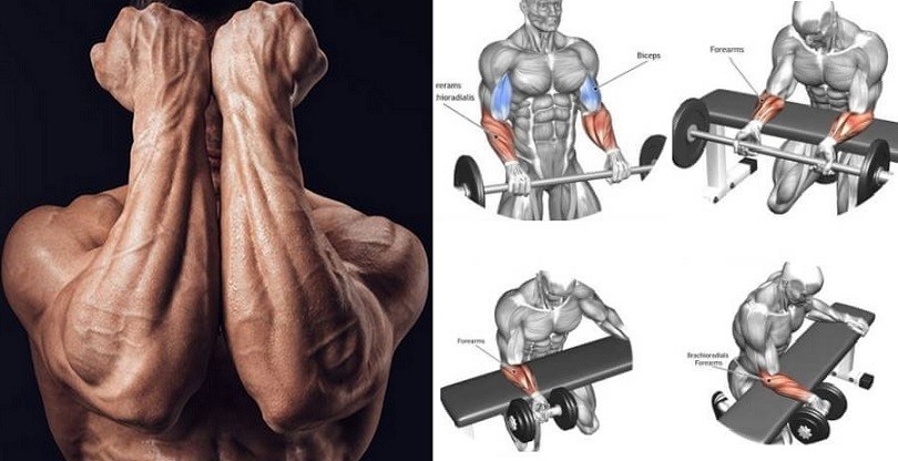 how to grow forearms and wrists